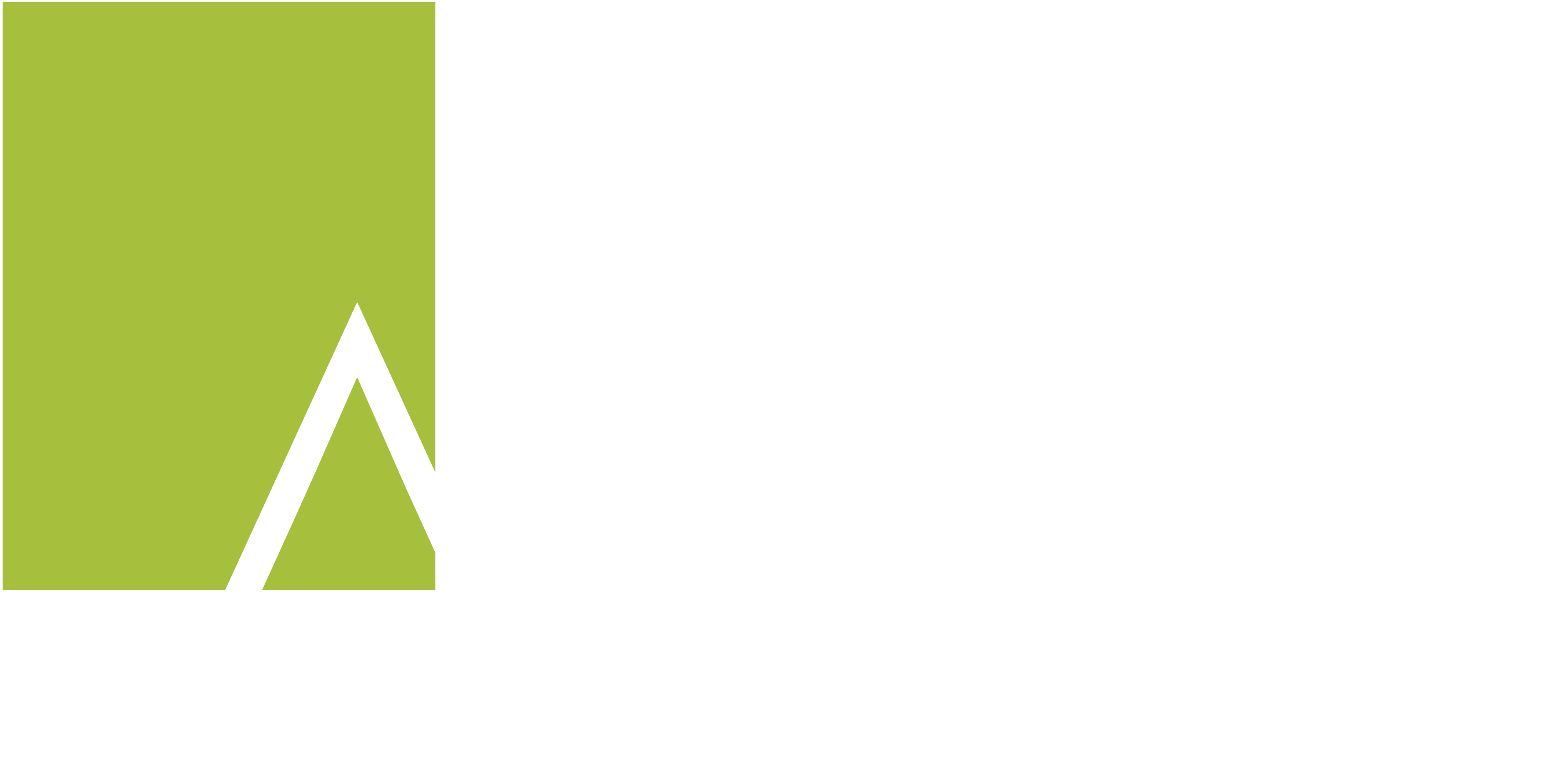 Avante International